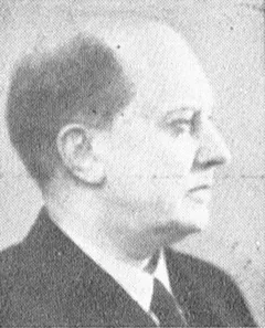Portrait of Torsten Stubelius